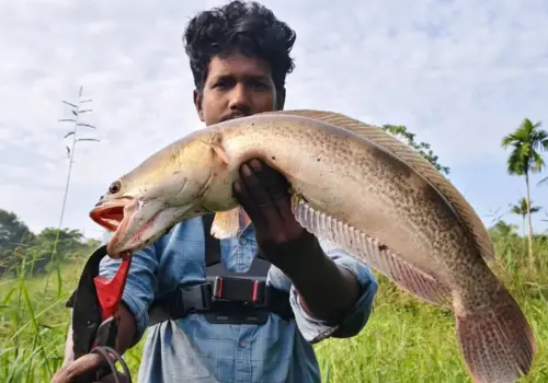 fishing shop kottyam-sandeep